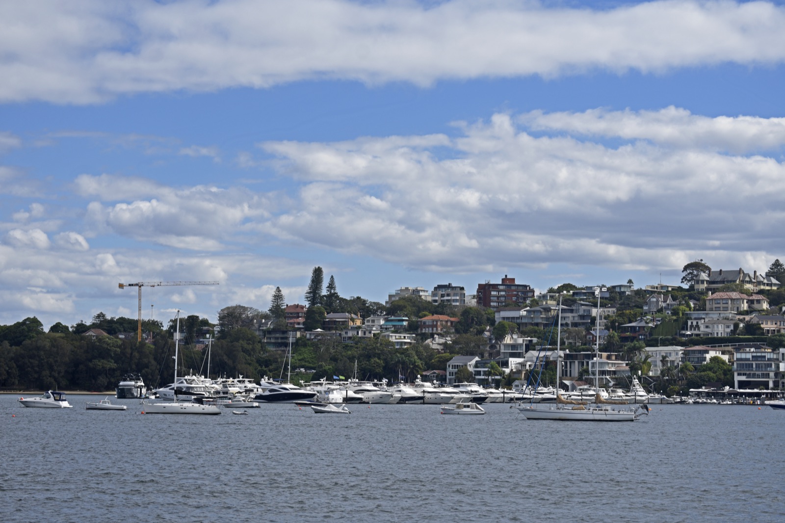 Rose Bay coastline, Sydney Eastern Suburbs